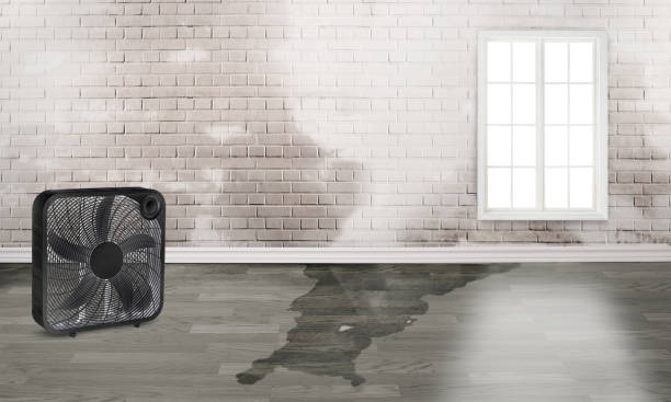 Best Local water damage restoration  in Irvine, CA