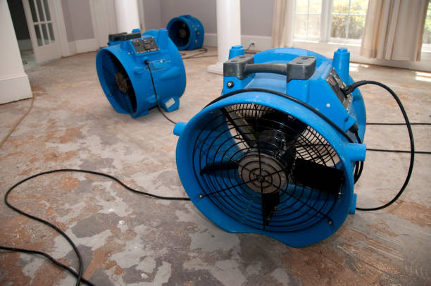 Best Basement water damage restoration  in Irvine, CA