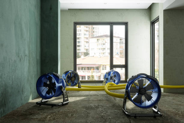 Best Water damage restoration experts  in Irvine, CA